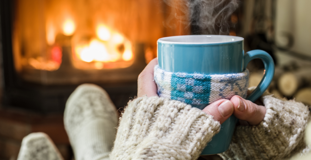 Prepare for Your Chimney Inspection | Black Goose Chimney Service