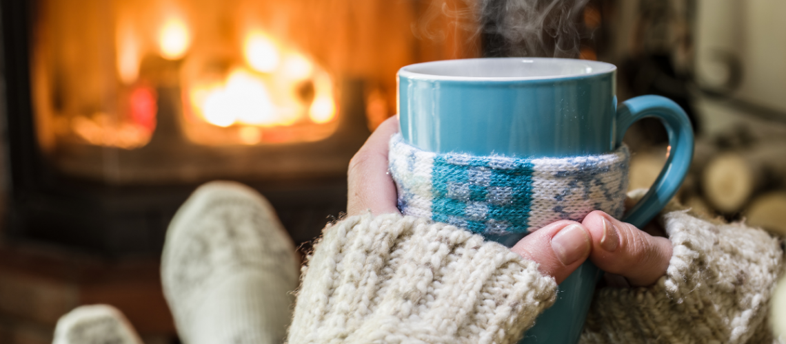 Prepare for Your Chimney Inspection | Black Goose Chimney Service